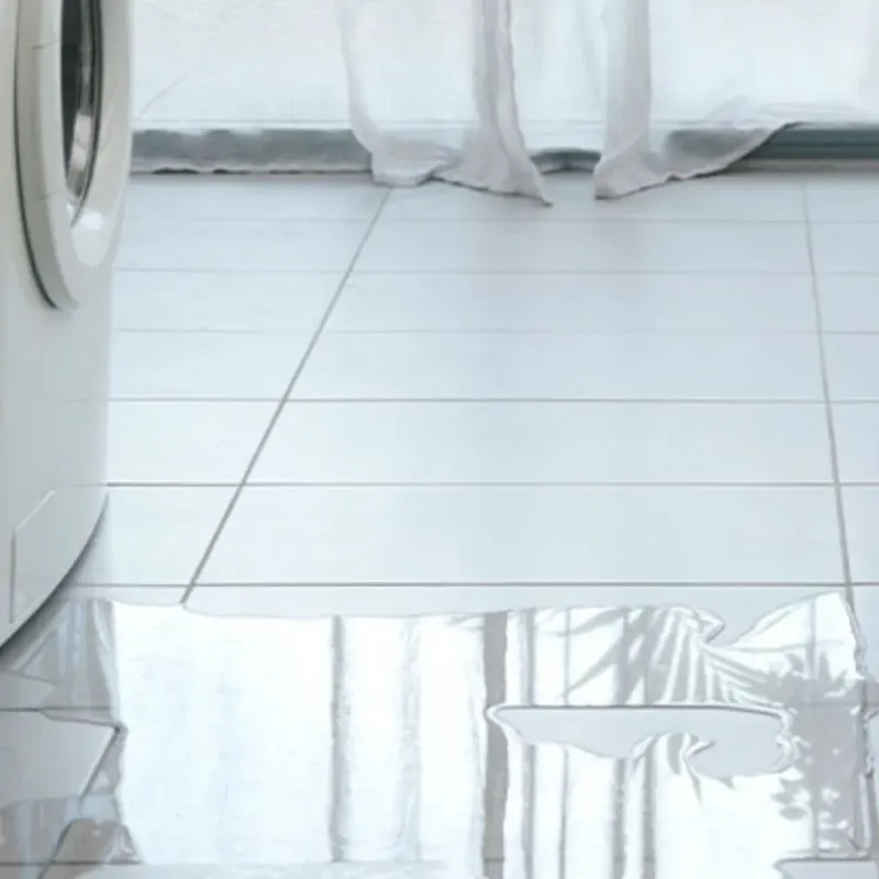 Appliance Leak Cleanup in Perry, GA